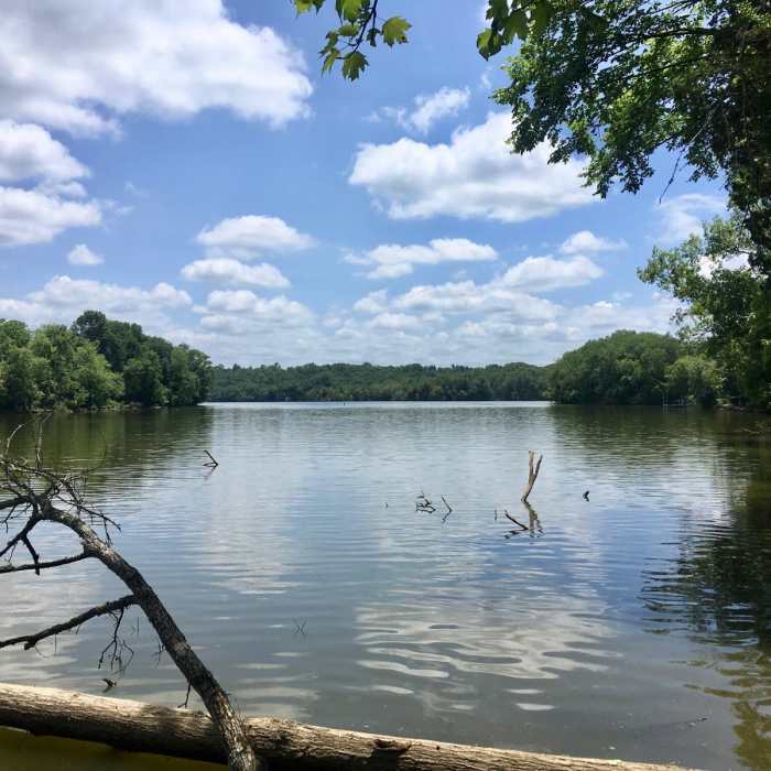 Near Shoreline + High Ridge Trail Loop