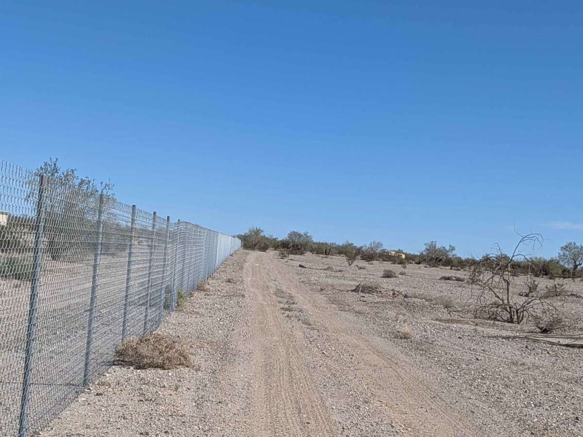 BLM 762 photo 5