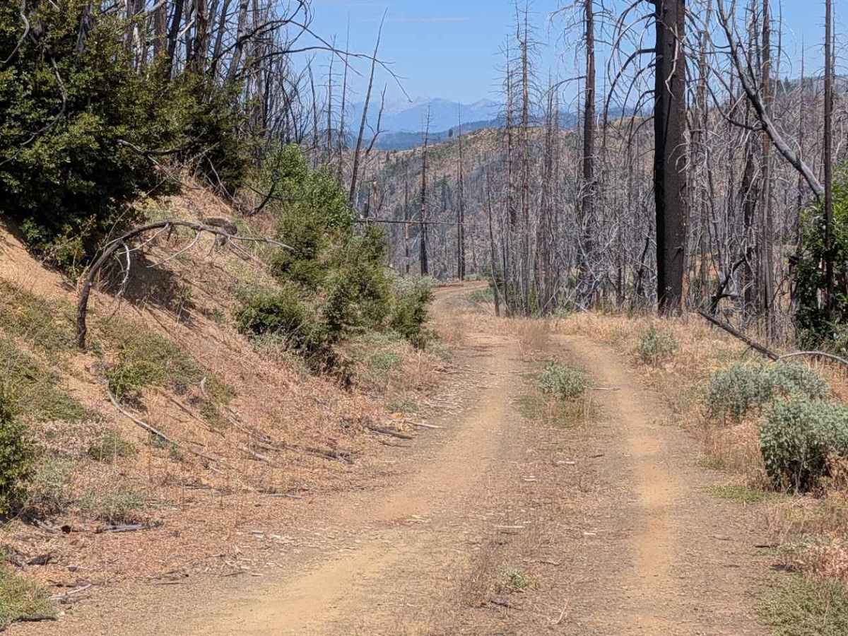 Halfway Ridge Road - FS 3N22  photo 5