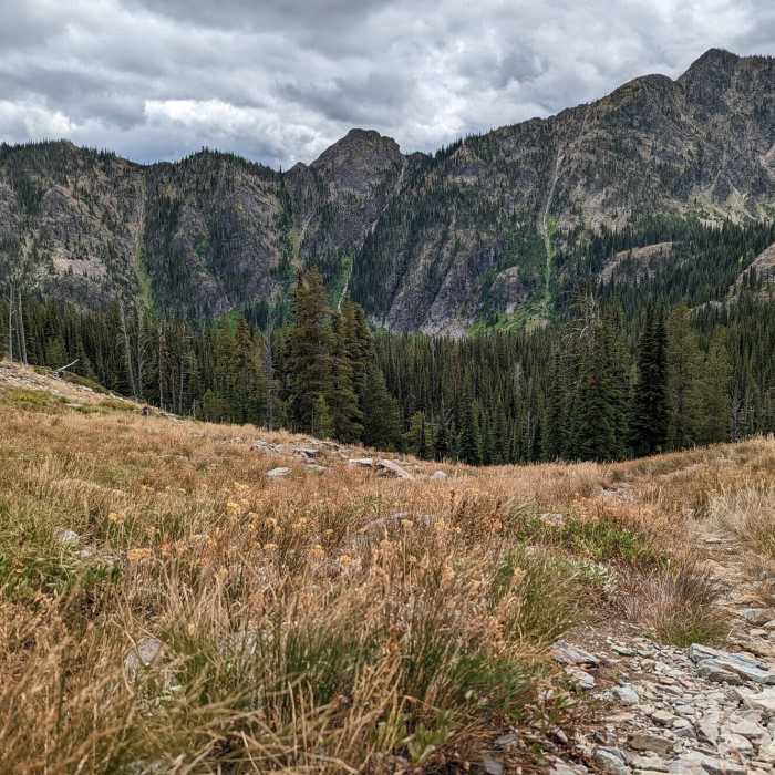 Near Stuart Peak Trail #517