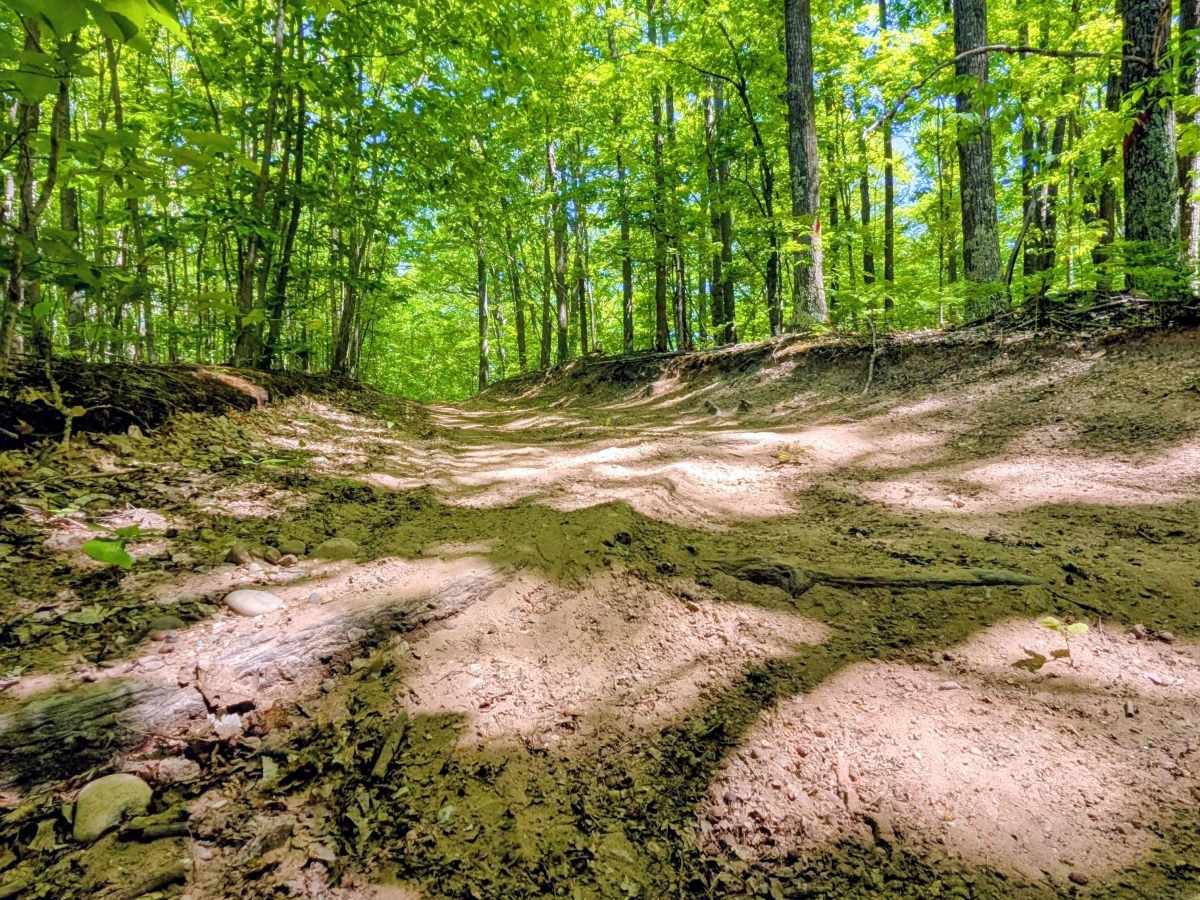  North Missaukee Route (section 7) photo 5