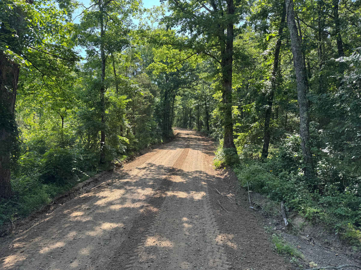 Silex Road photo 5