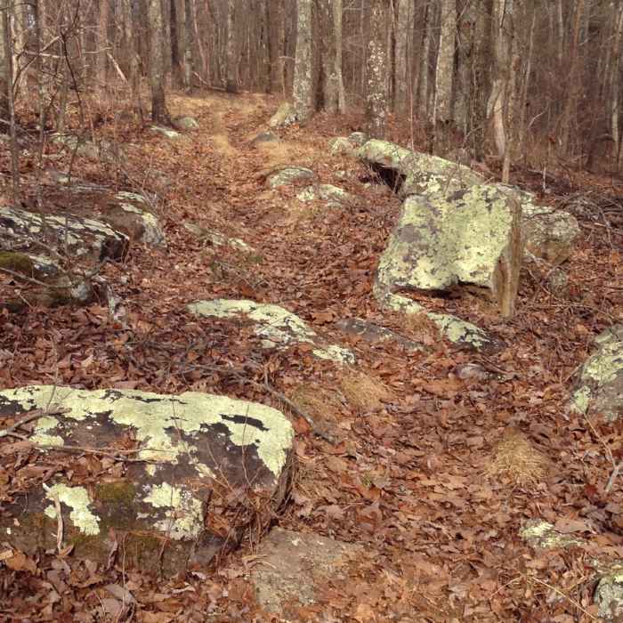 Nice sections abound on the ridgeline. Near Pinhoti Trail: Section 20
