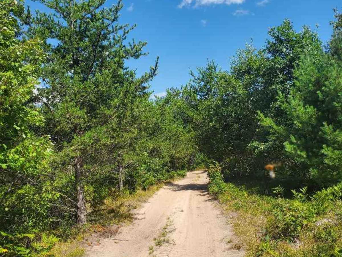 The Outer Dogman Trail photo 4