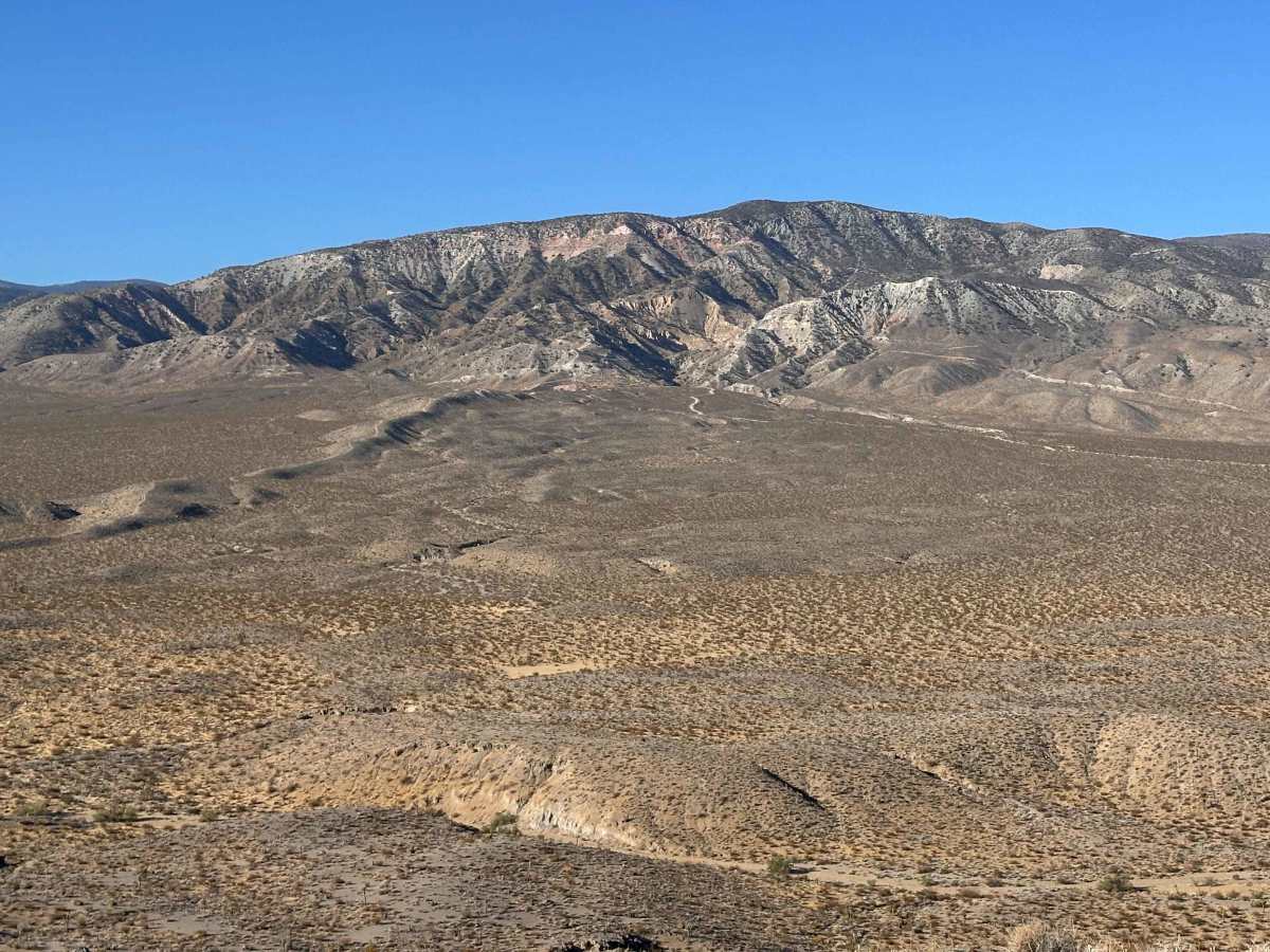 Desert Crown photo 2