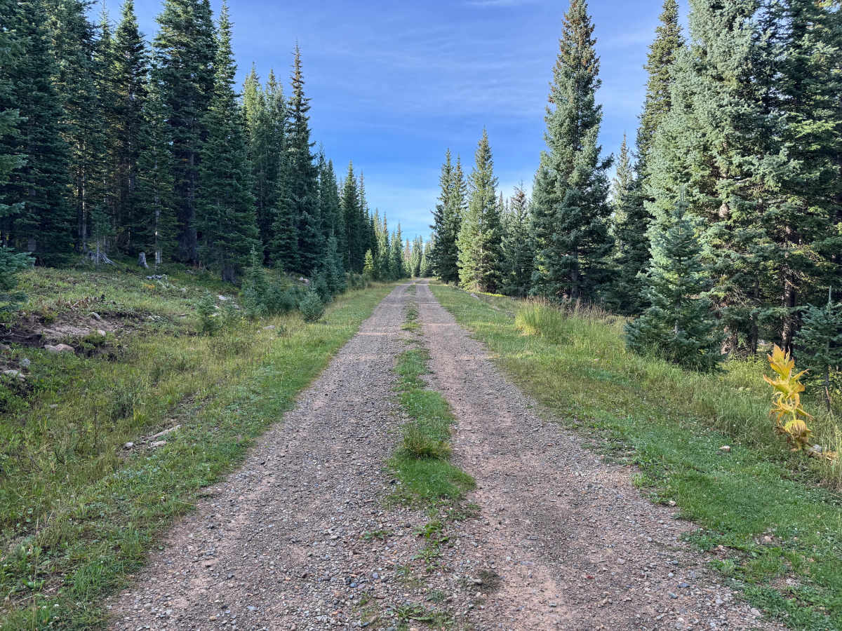 Pothole Road photo 2