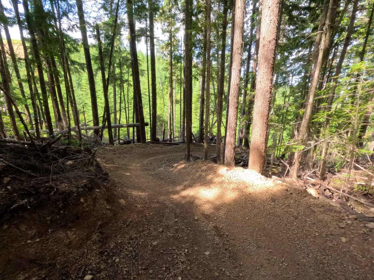 West Phantom Bear photo 5