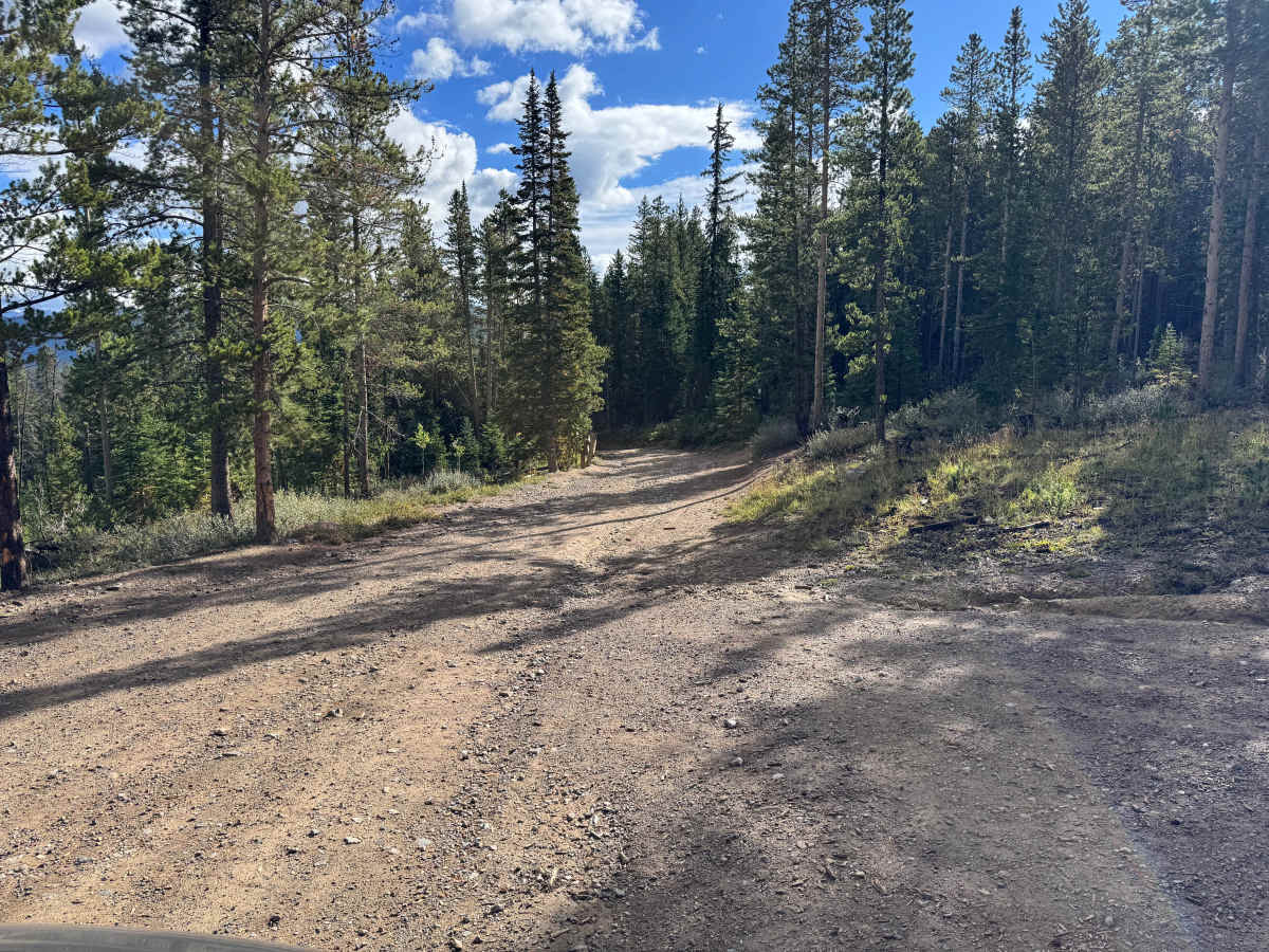 Gold Run Gulch Road photo 5