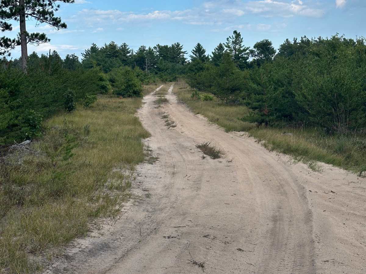 Otter Loop Around  photo 3