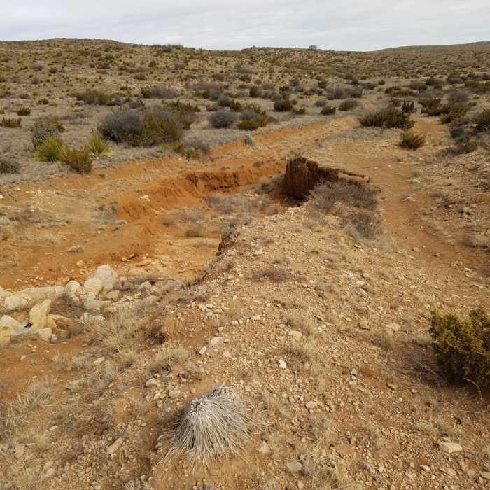 Guadalupe Ridge Trail follows an old Jeep road in CAVE. Photo shows road washed out. Near Rattlesnake Canyon Loop