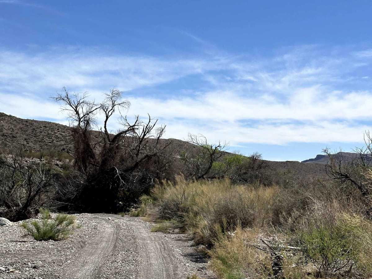 Smith Ranch Road trail photo
