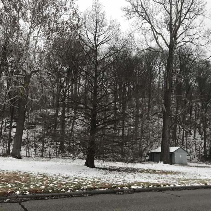 Near Lakeview Loop Trail