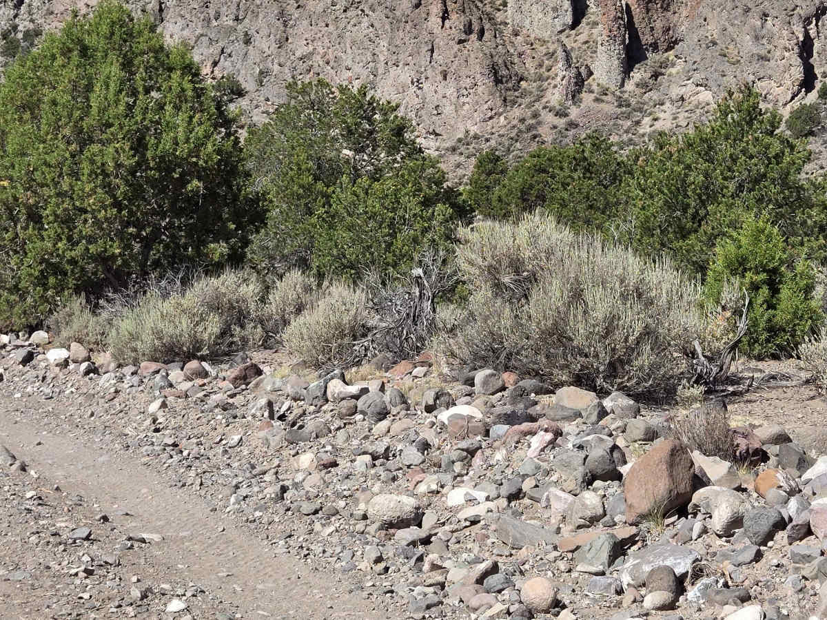 Kingston Canyon (Paiute 1 Trail) photo 2
