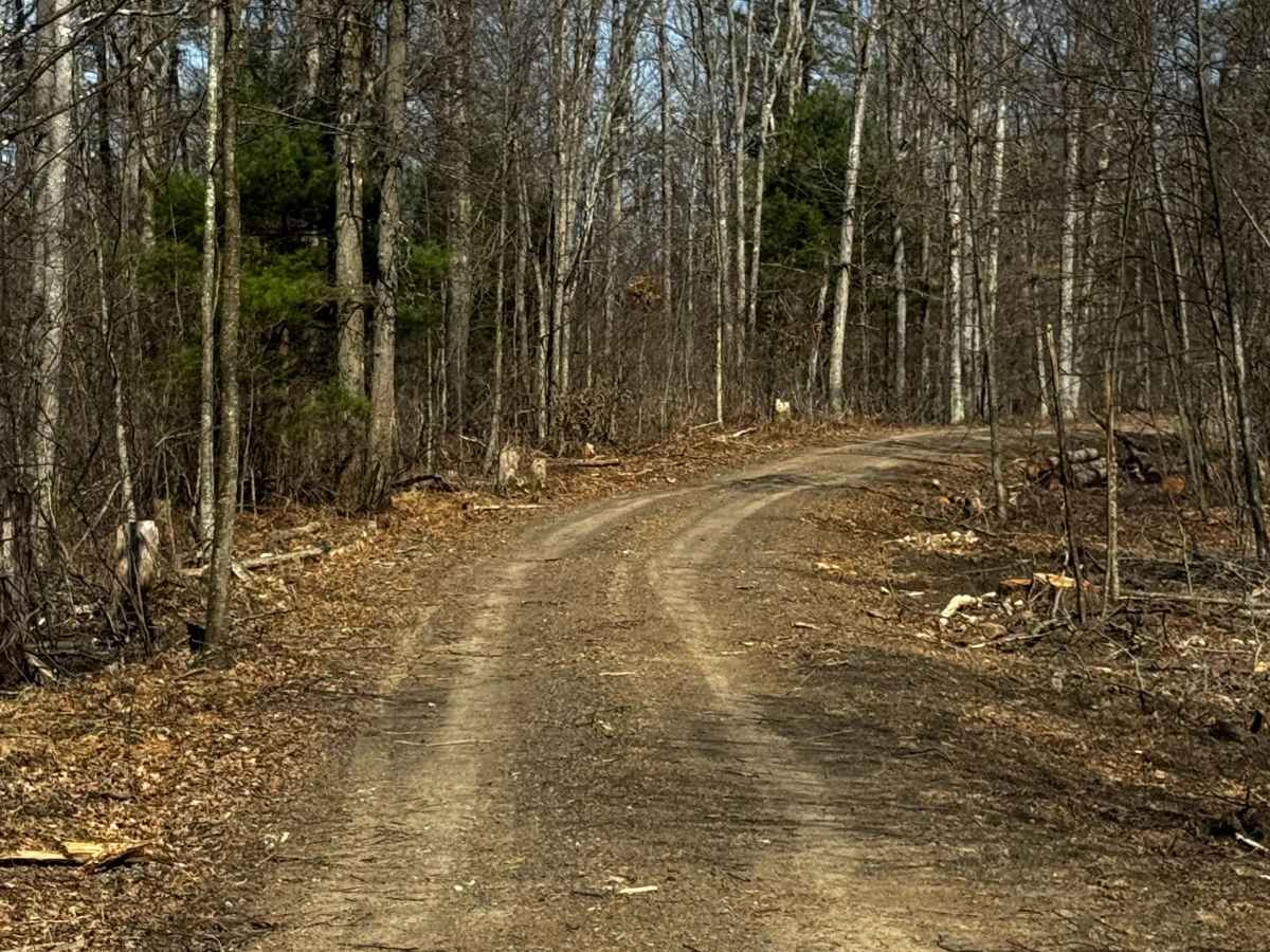 Rock Run Trail photo 3