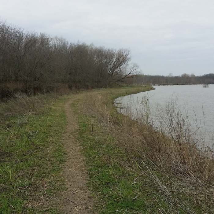 The trail travels along a levee in the lower wetlands area. Near Clear Creek Natural Heritage Center