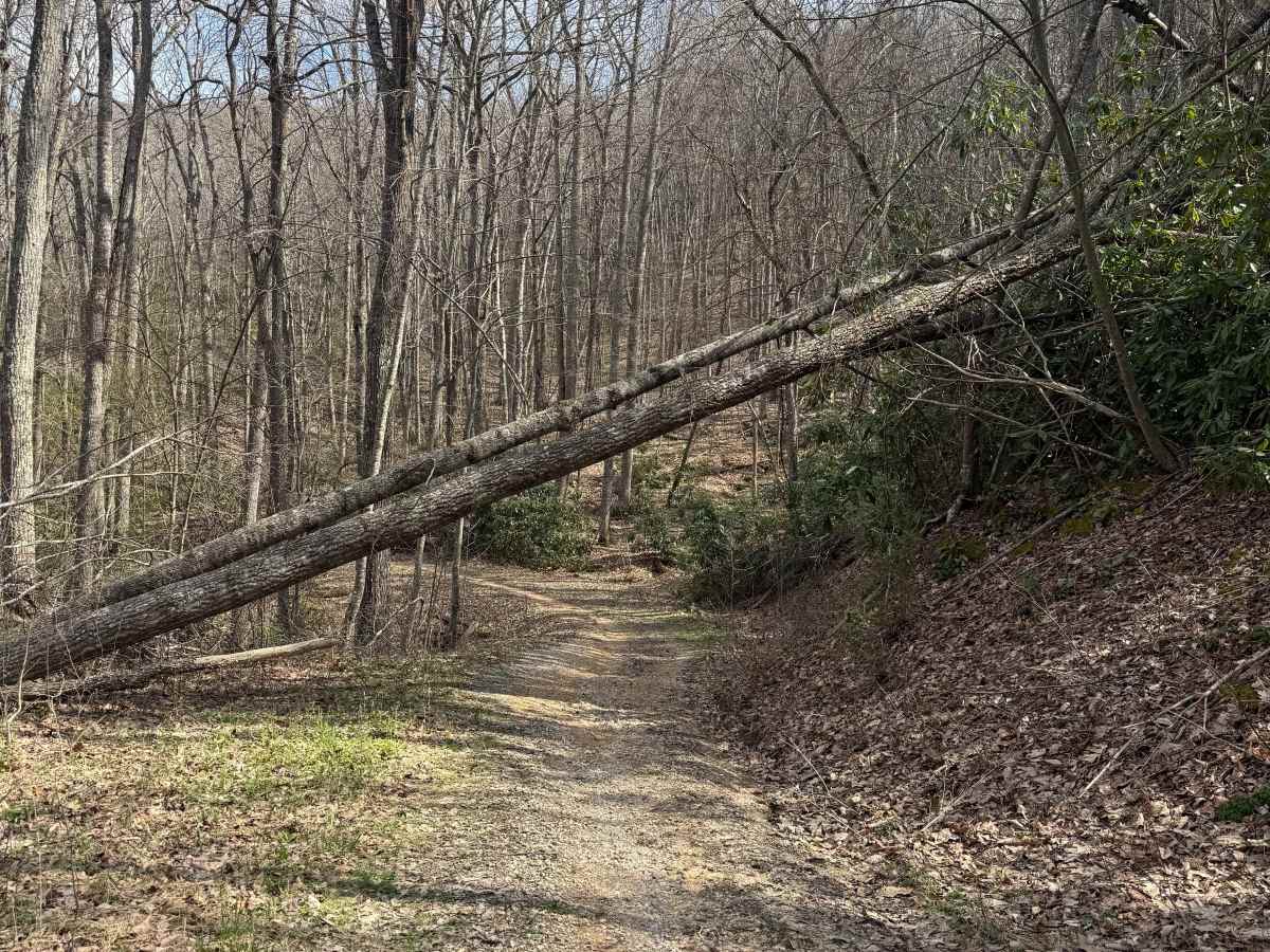 Quarter Branch Road photo 2
