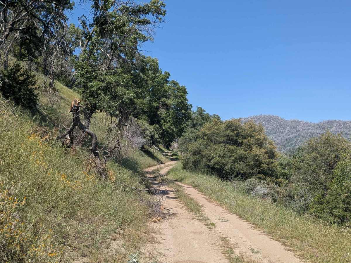 Chute Springs - FS 23S68 trail photo