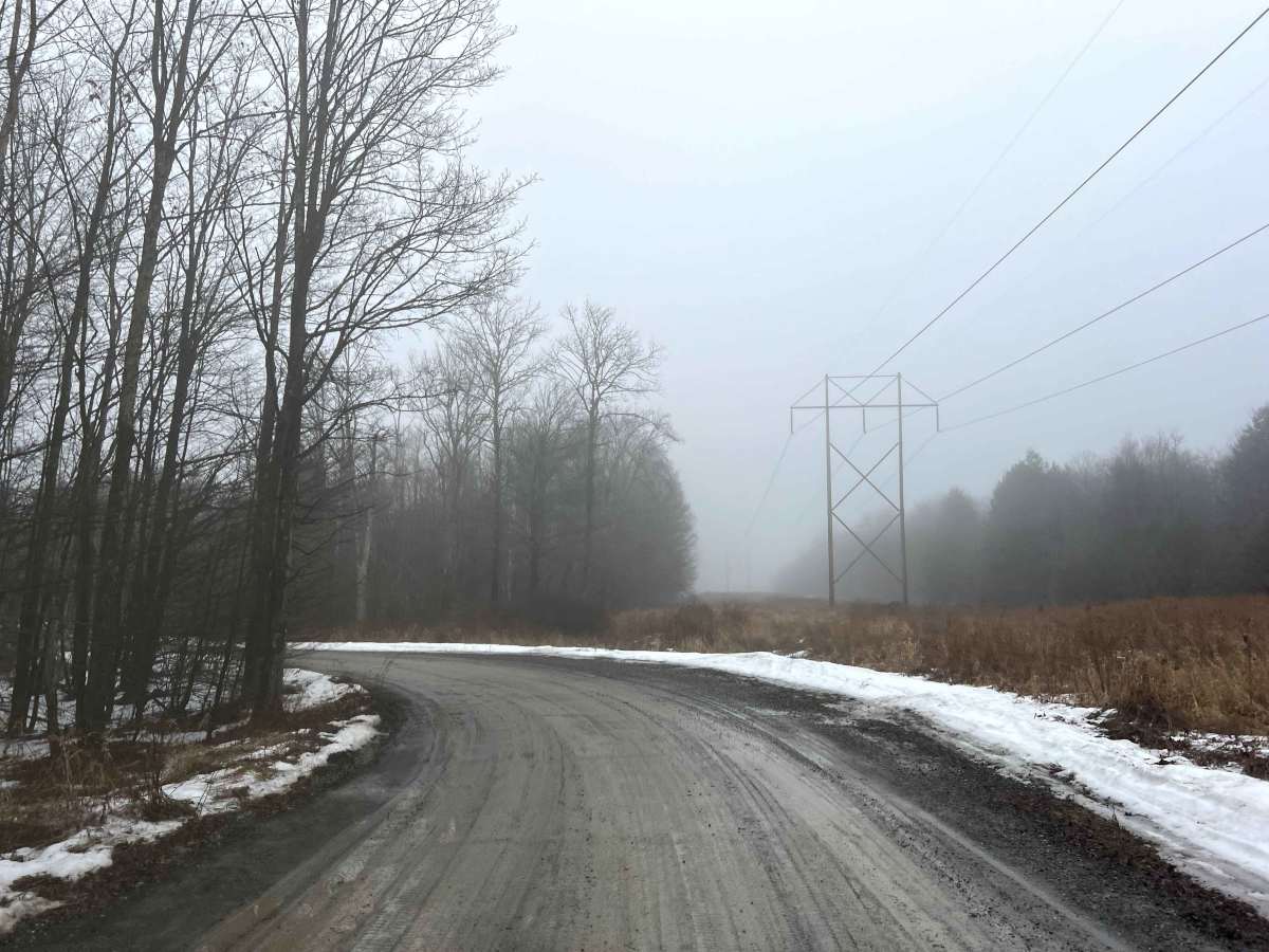 Powerline Road trail photo