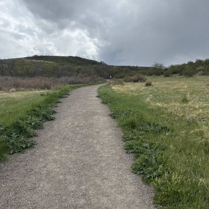 Near Rosie Rueter Trail and Incline Challenge