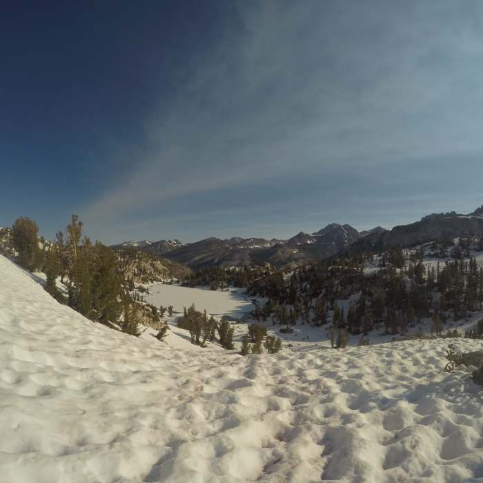 Near Goodale Pass Trail #28E20