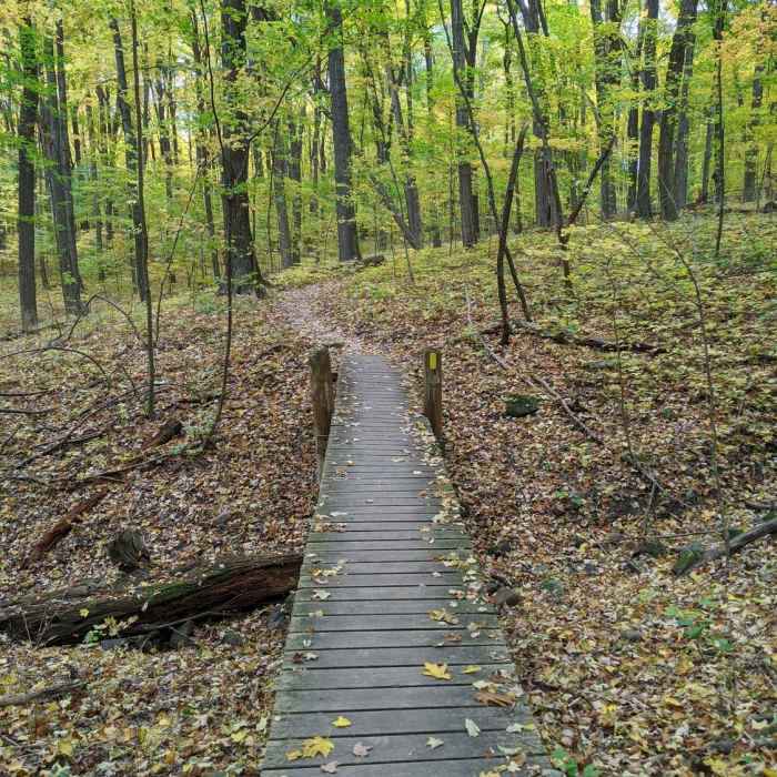 Fun footbridge Near Ice Age Trail: Holy Hill Segment