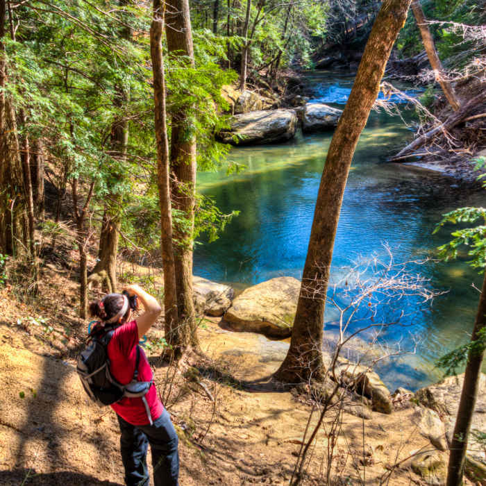 Sipsey Wilderness Near Randolph - Sipsey Loop