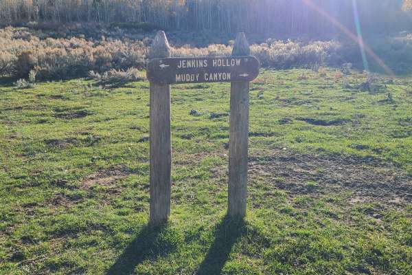Jenkin's Hollow