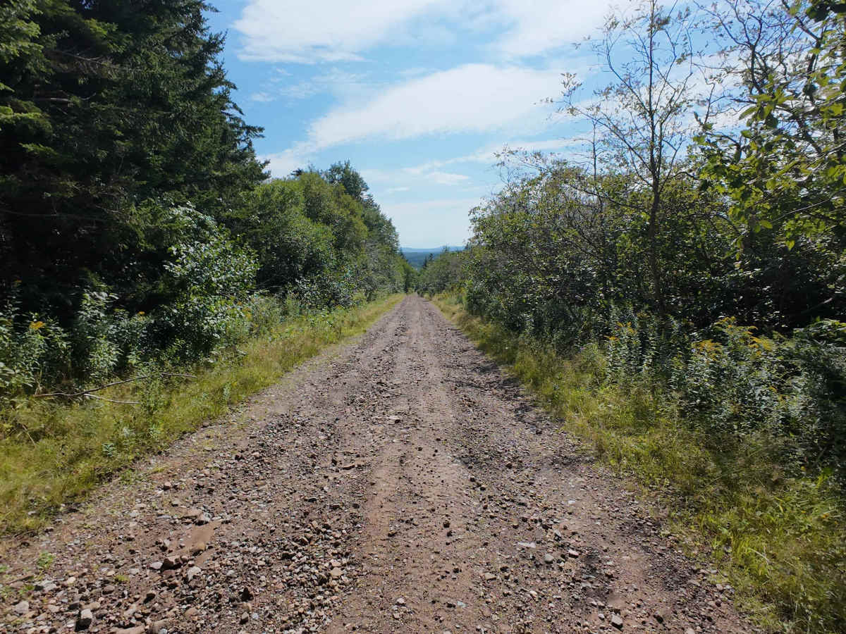 Woodworth Settlement Road photo 3
