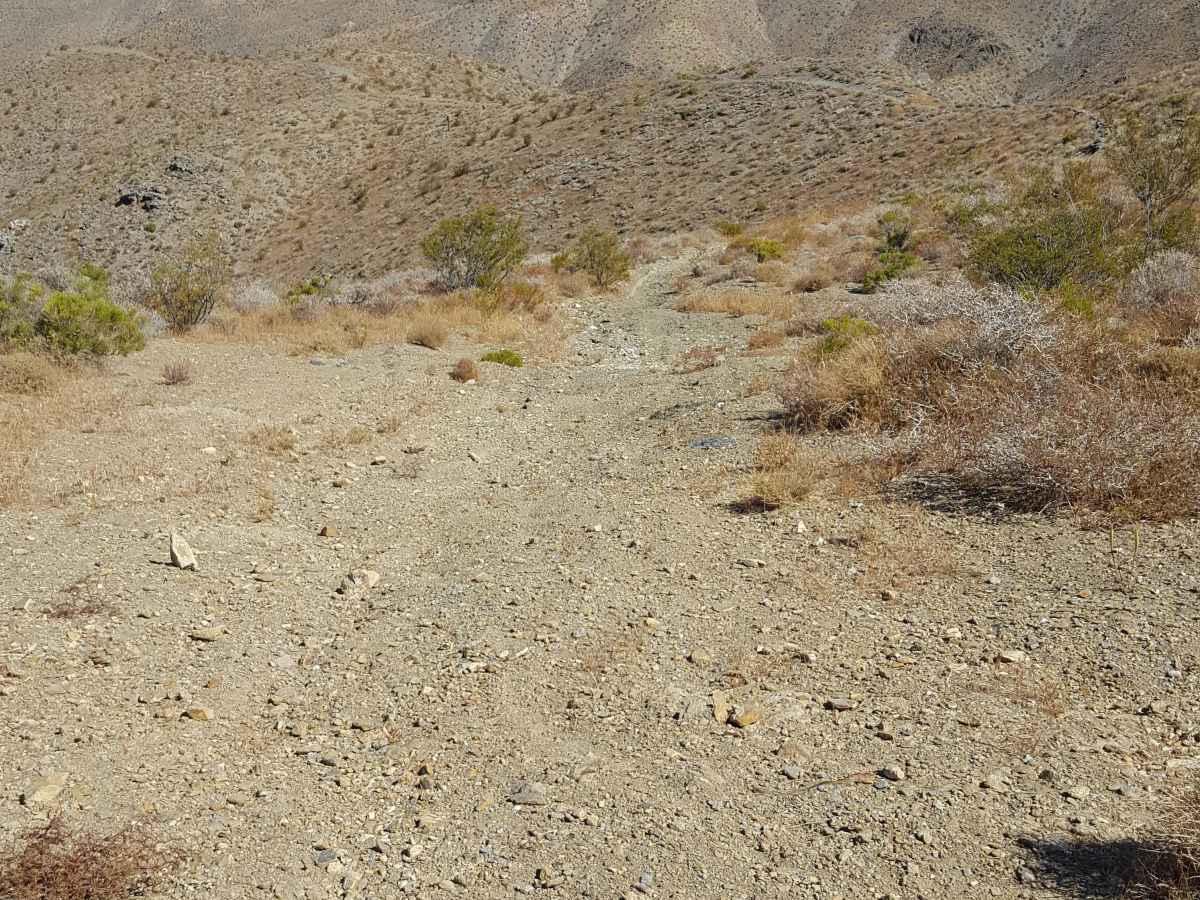 Trail 57 photo 2