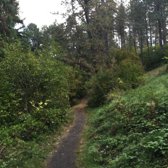Smooth trail in the park Near White Pine Trail
