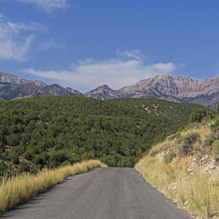 Near South Willow Lake Trail Near South Willow Lake Trail