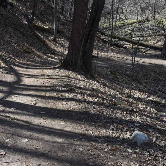 Near Arcola High Bridge Viewpoint Near Arcola High Bridge Viewpoint