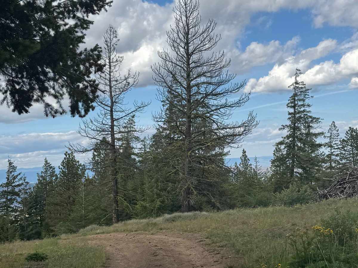Lookout Road photo 3
