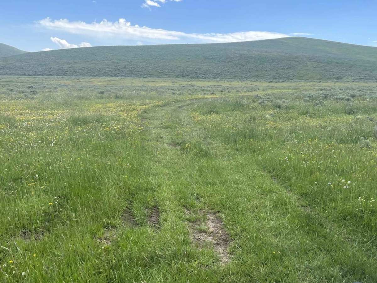Fish Creek Ridge Road (FS 9626) photo 3