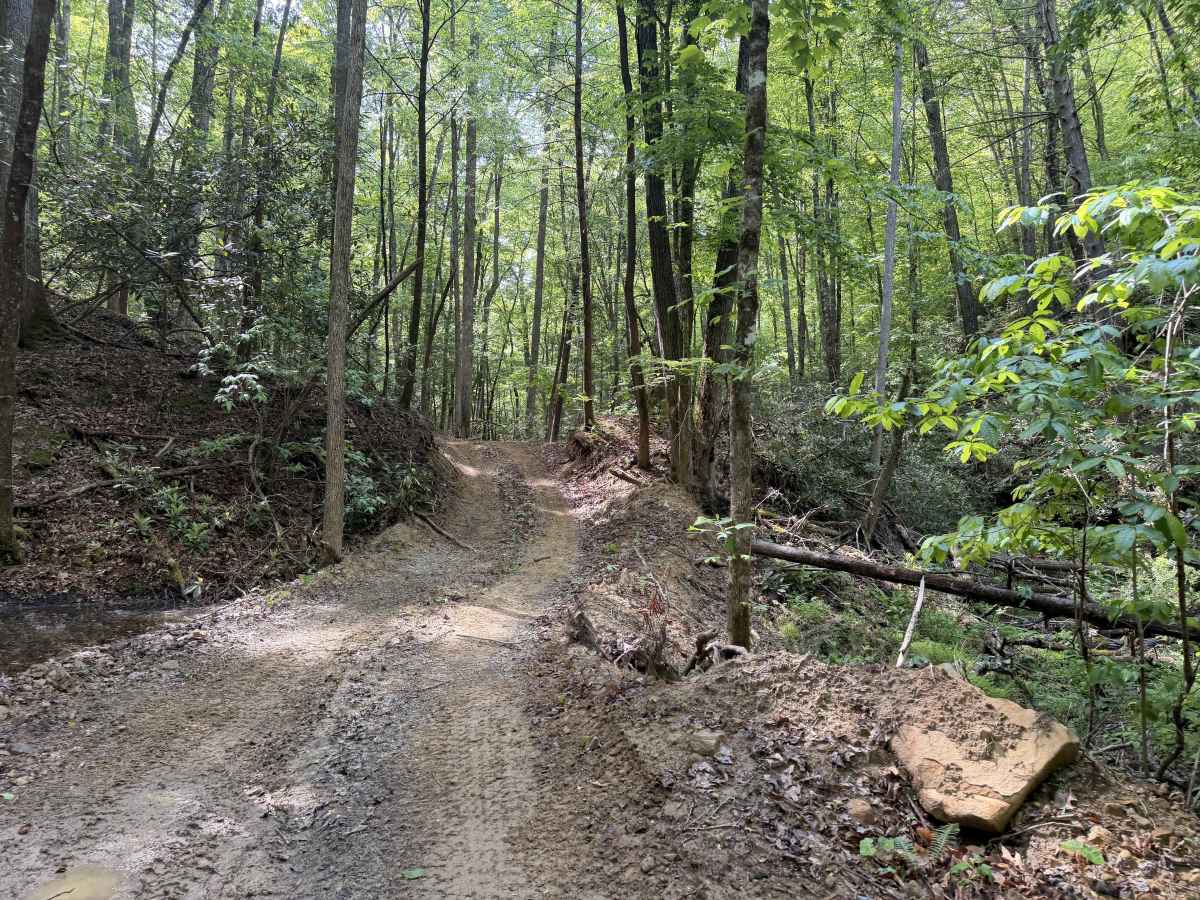 Big Rock Bottom trail photo