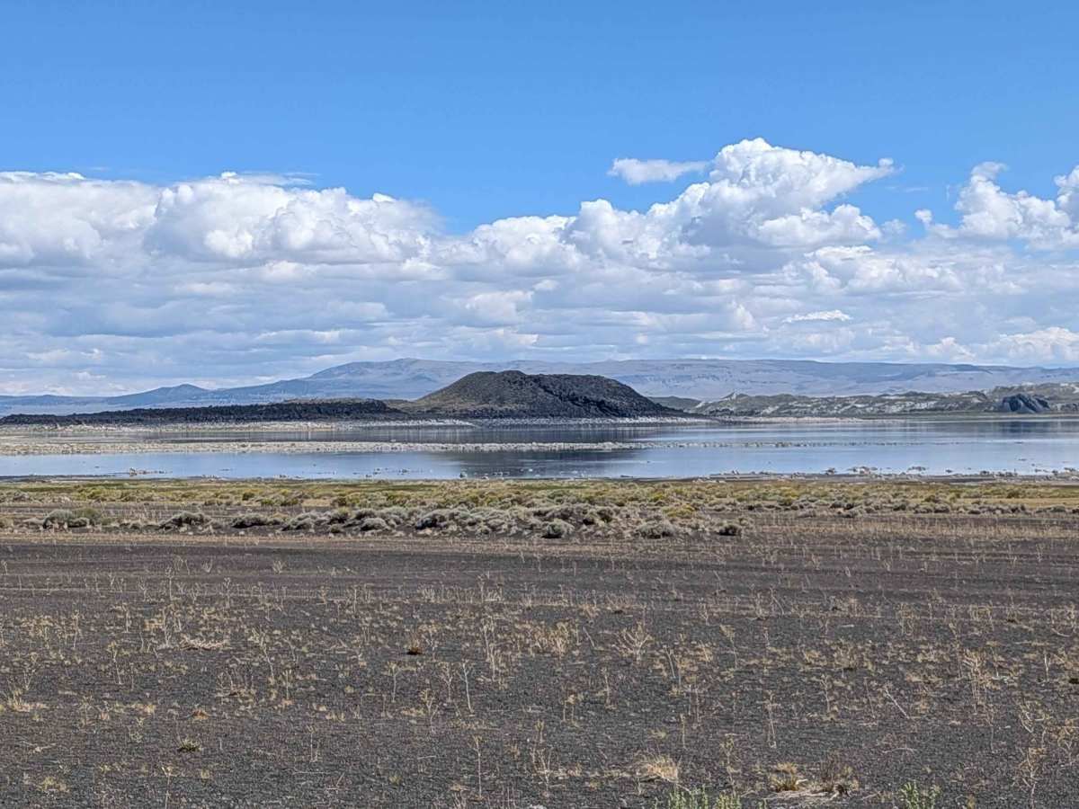 Black Point - FS 2N42 trail photo