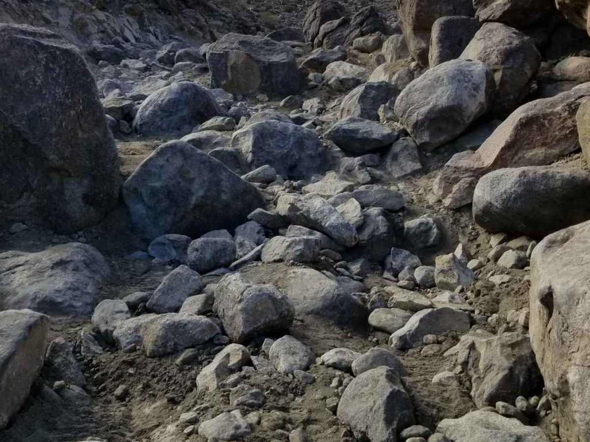 Turkey Claw trail photo