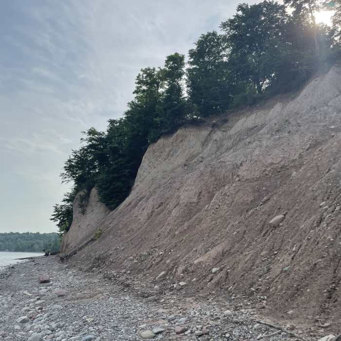 Near Lakeshore / Woodland Loop