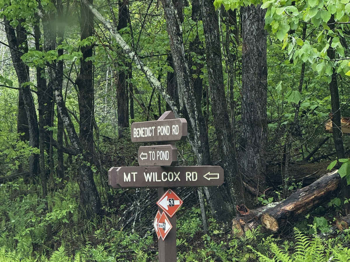 Mount Wilcox Road trail photo