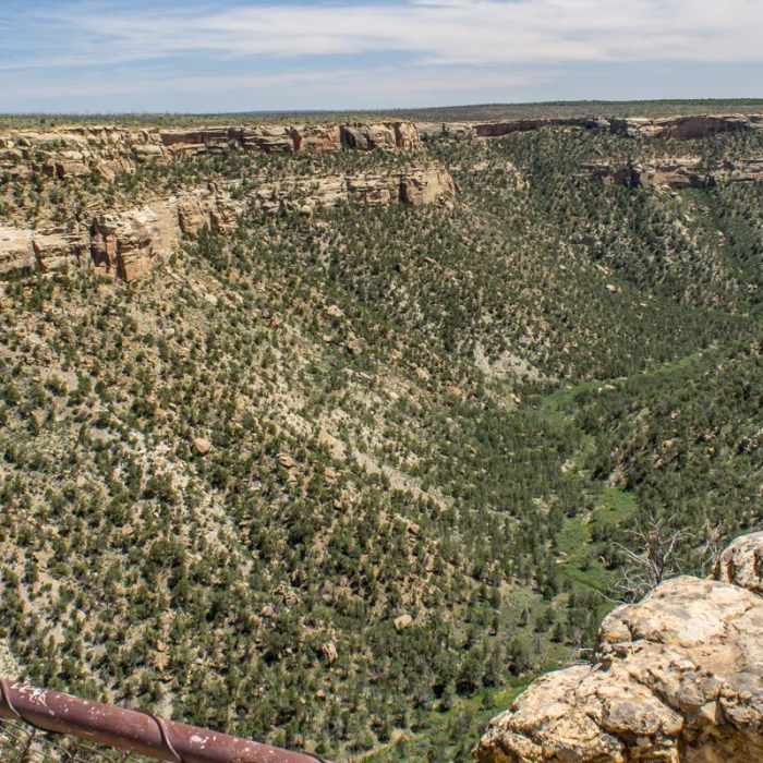 Near Soda Canyon Trail