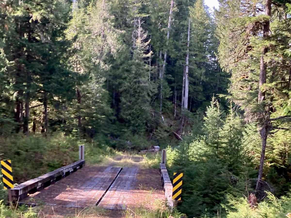 Whale Pass Road - FS 3065000 photo 5