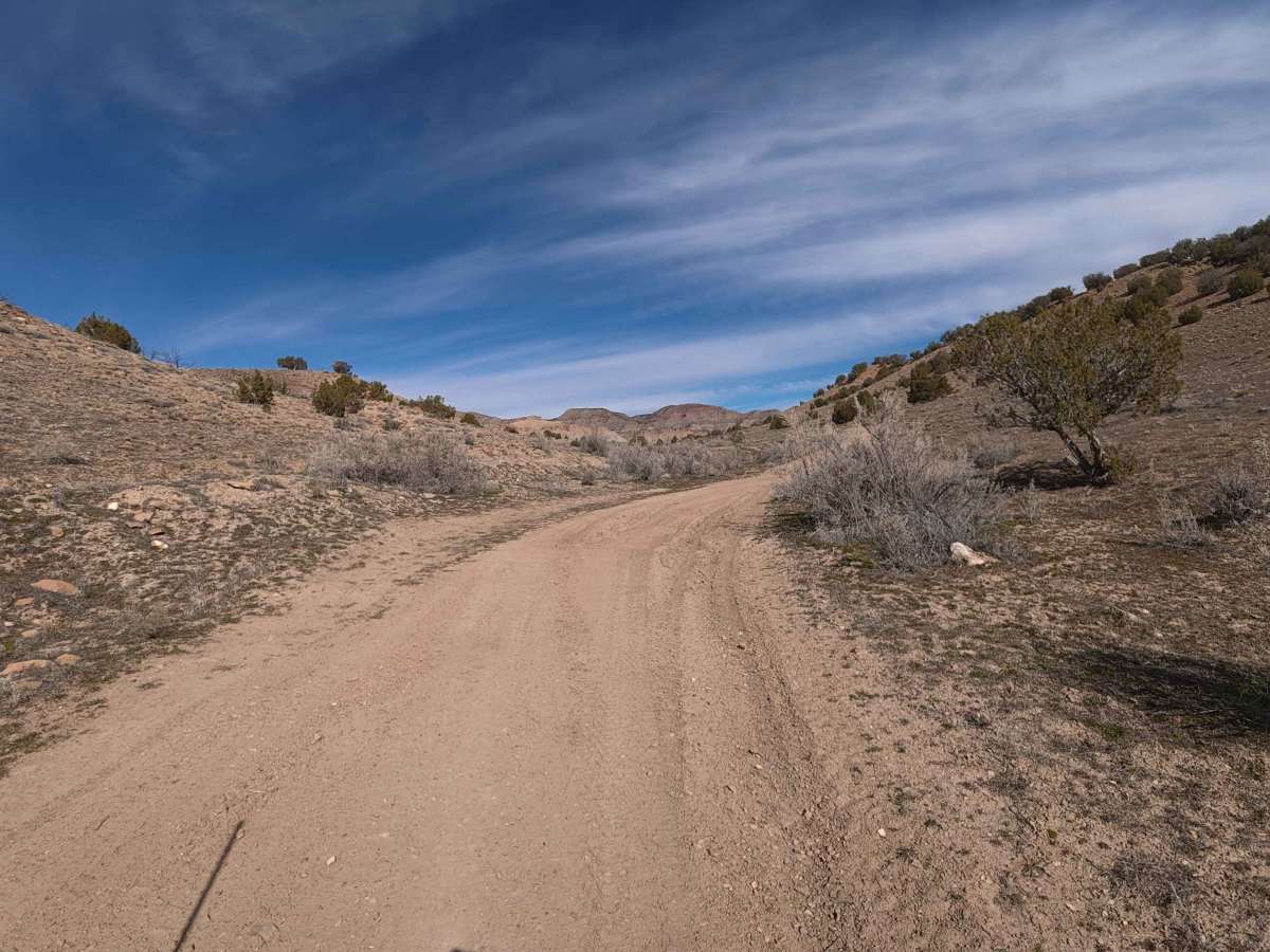 BLM 124 photo 4