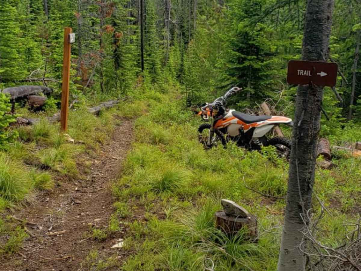 Olson Peak Singletrack photo 5