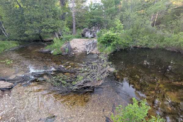 Beaver Dam Creek