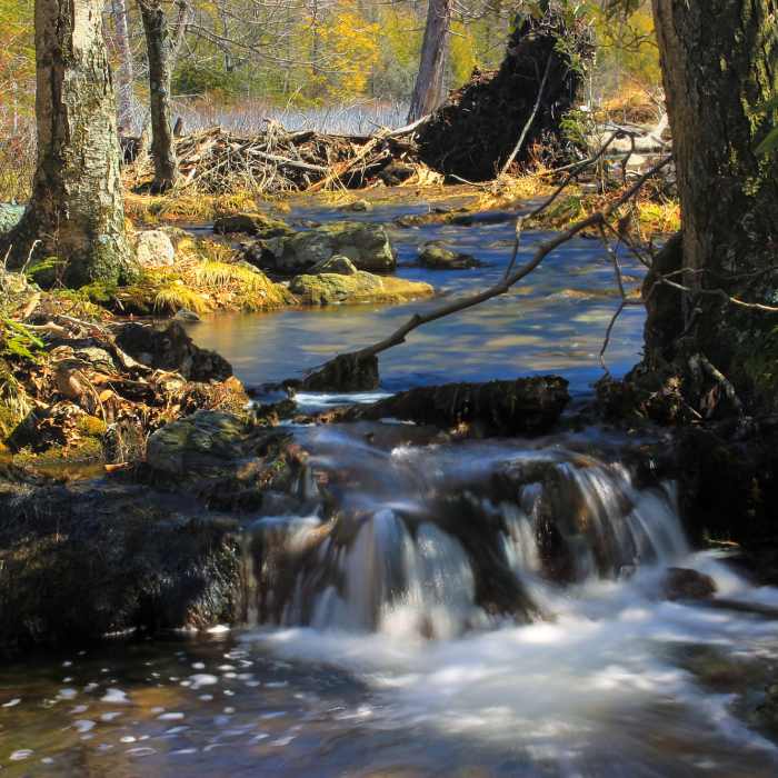 An outlet seen from the Woods Road Trail. Near Woods Road