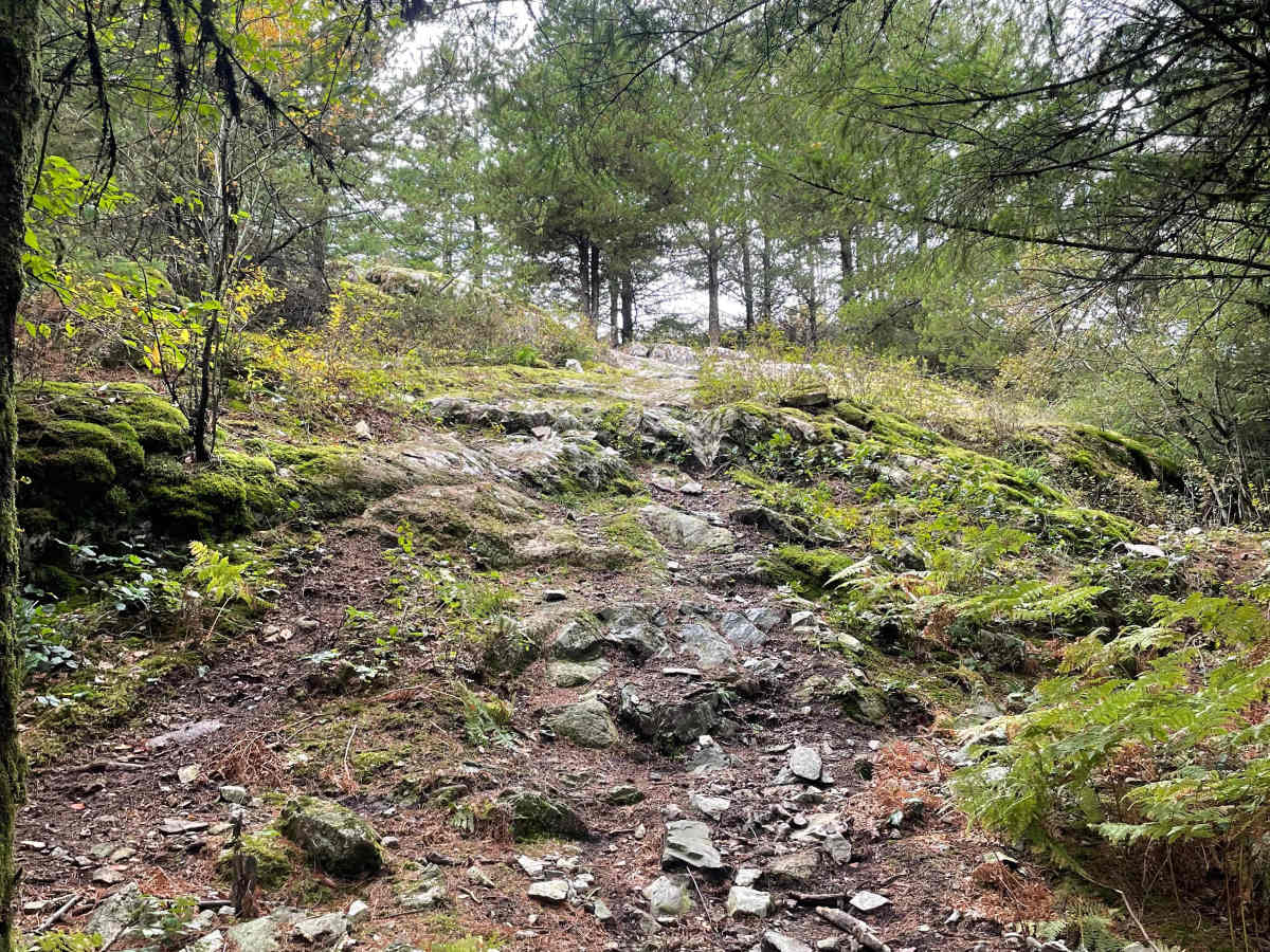 Viewpoint- The Long Way trail photo
