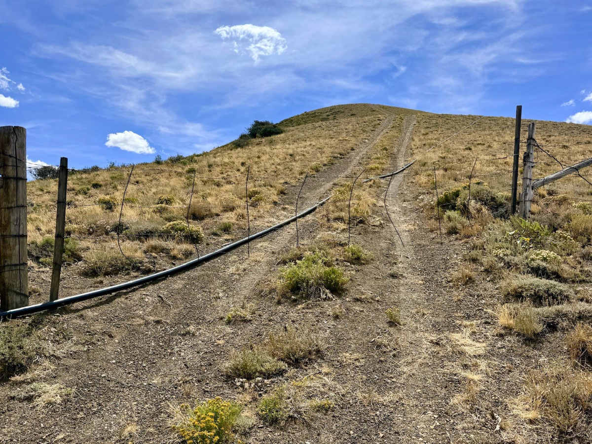 Jerritt Mine Bypass Road -  FS 56573 photo 3