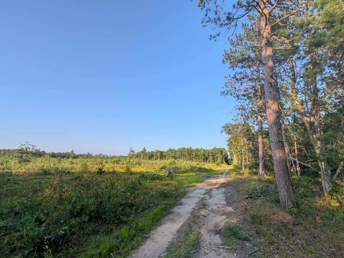 Merton Trail trail photo