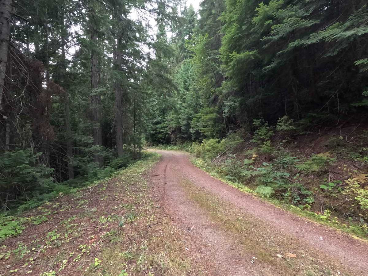 Galena Basin - FS 1089 photo 3