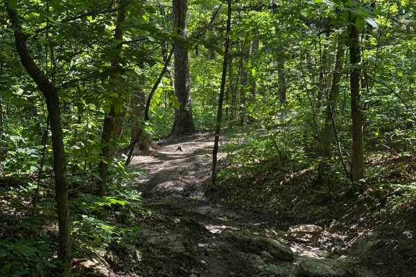 Inner Trail 25
